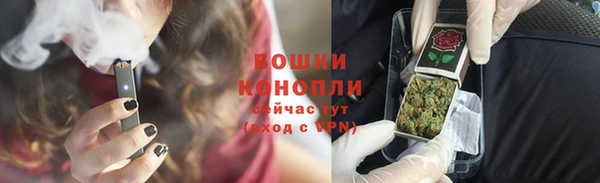 молекула духа Алексеевка