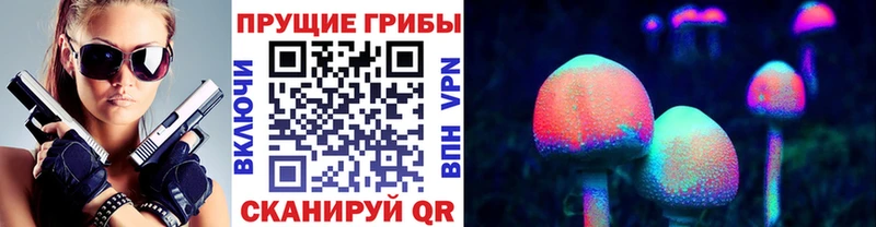 блэк спрут зеркало  где найти   Сурск  Галлюциногенные грибы Magic Shrooms 